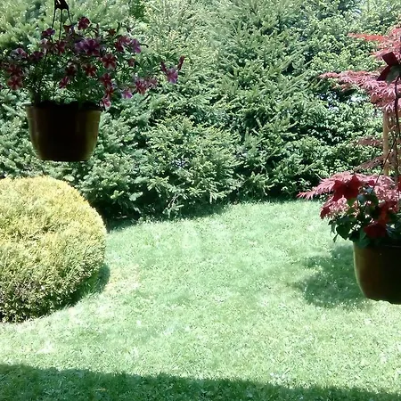 Nais Ζλάτιμπορ