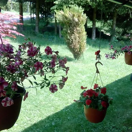 Apartment Nais Zlatibor