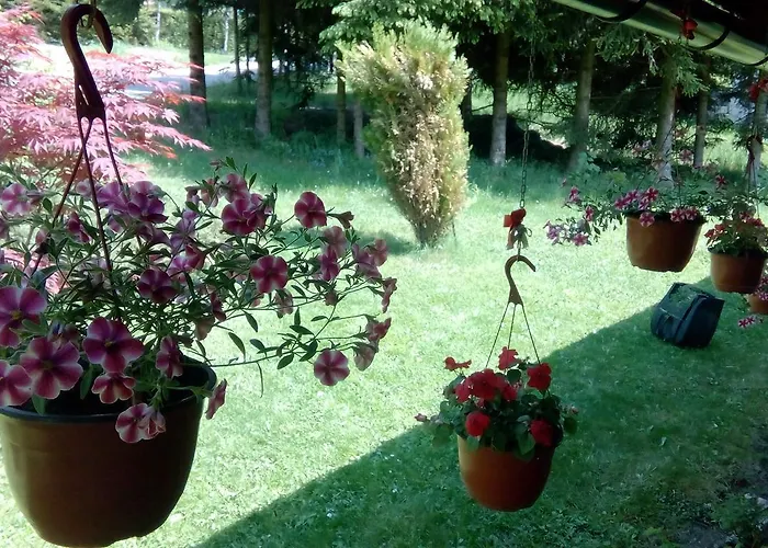 Apartman Nais Zlatibor